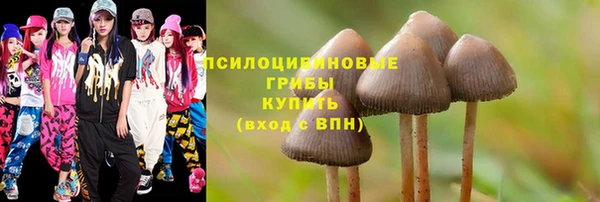 мяу мяу мука Арсеньев