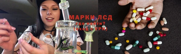 мяу мяу мука Арсеньев